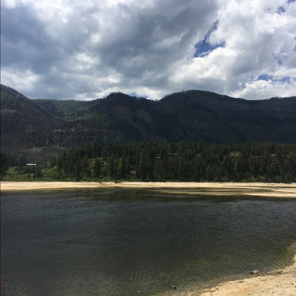 Meet your Posher, Charlena - Picture 1 of 1